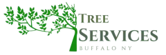 Tree Service in Buffalo, NY
