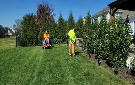Tree trimming and pruning service in Buffalo